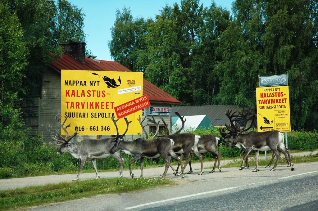suutari seppo kalastustarvikkeet